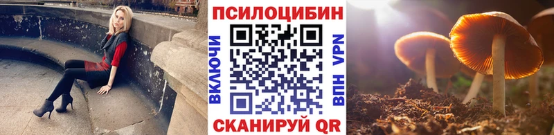 Галлюциногенные грибы Psilocybine cubensis Лукоянов