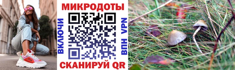 Псилоцибиновые грибы мухоморы  Лукоянов 